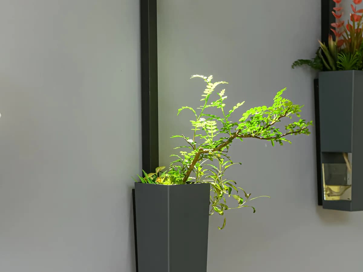 Indoor Garden Decorative Wall Light